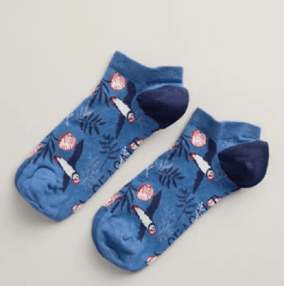 Seasalt-Womens-Arty-Trainer-Socks-–-Seamount-Pier.png Seasalt Women's Arty Trainer Socks - Seamount Pier